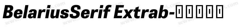 BelariusSerif Extrab字体转换